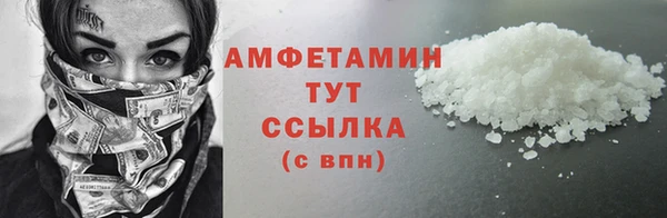 индика Вяземский