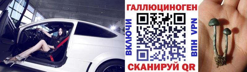 Псилоцибиновые грибы Magic Shrooms  купить наркоту  Избербаш 